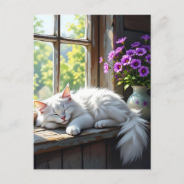 Eine flauschige, weiße Katzenklatsche auf der Fens Postkarte