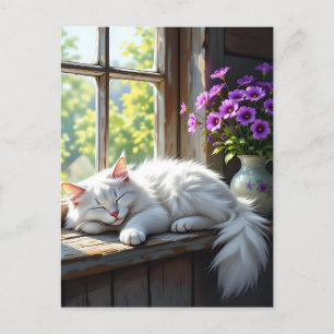 Eine flauschige, weiße Katzenklatsche auf der Fens Postkarte