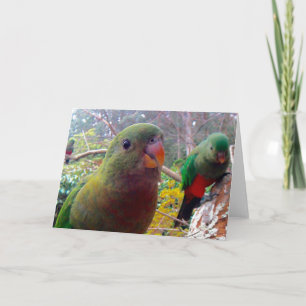 Eine Fotografie einer weiblichen Karte Königs