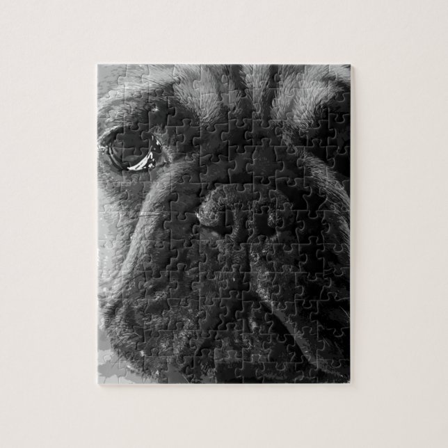Eine französische Schwarzweiss-Bulldogge (Vertikal)