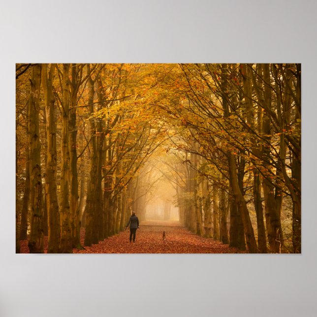 Eine Frau, die mit einem Hund auf einem Herbstplak Poster (Vorne)