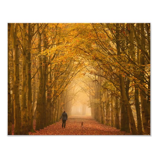 Eine Frau, die mit Hund auf dem Herbstmorgendliche Fotodruck (Vorne)