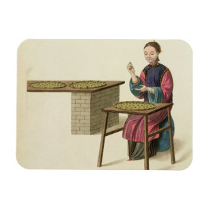 Eine Frau, die Tee zubereitet, überziehen 21 'vom Magnet