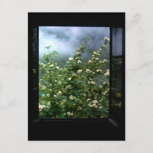 EINE FRAU IN DER LIEBE POSTKARTE