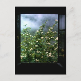 EINE FRAU IN DER LIEBE POSTKARTE