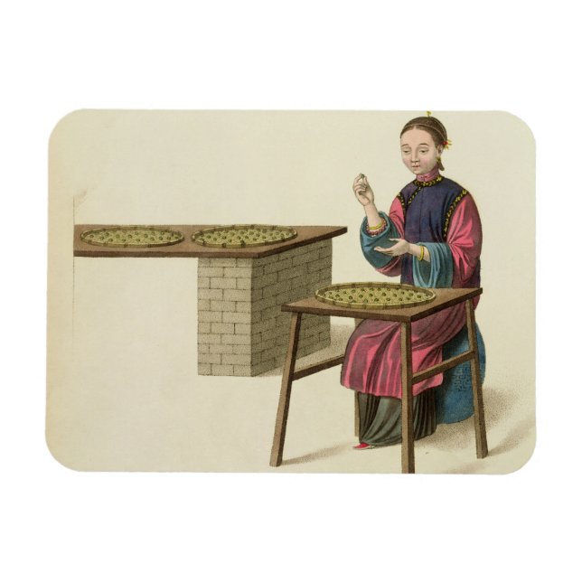 Eine Frau Tee zubereiten, Teller 21 von 'The Costu Magnet (Horizontal)