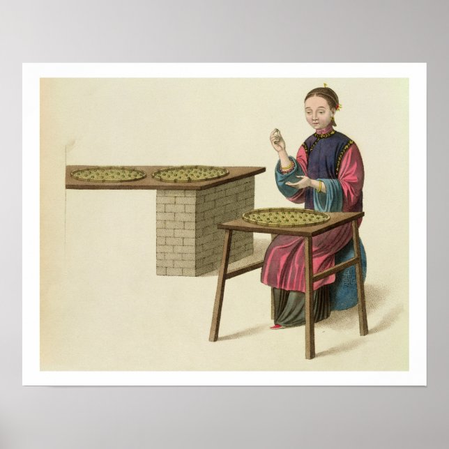 Eine Frau Tee zubereiten, Teller 21 von 'The Costu Poster (Vorne)