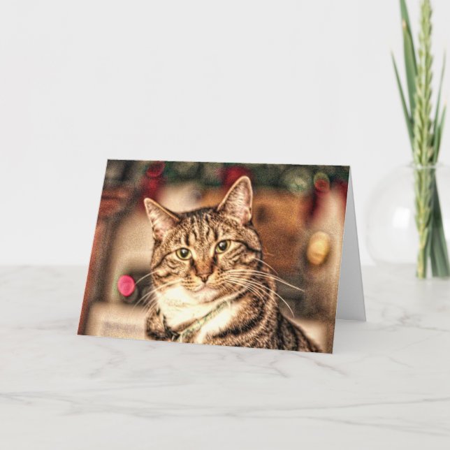 Eine fröhliche kleine WeihnachtsMiezekatze-Karte Feiertagskarte (Vorderseite)