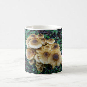 Eine Funky Pilz-Tasse, zum mit Frühstück zu gehe Kaffeetasse