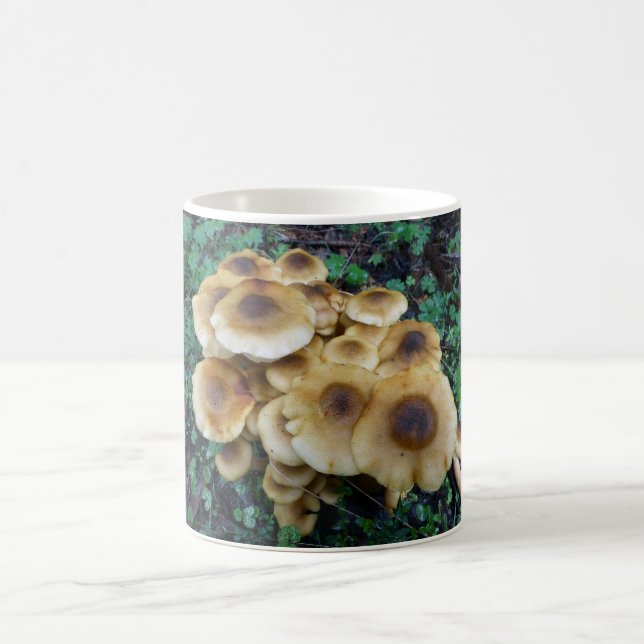 Eine Funky Pilz-Tasse, zum mit Frühstück zu gehen Kaffeetasse (Mittel)