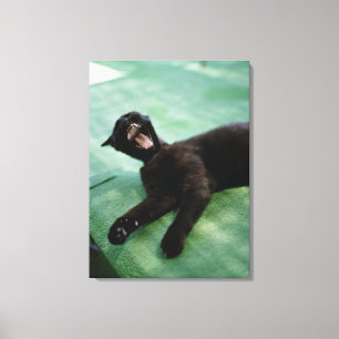 Eine gähnende Katze. Leinwanddruck