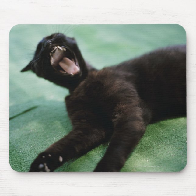 Eine gähnende Katze. Mousepad (Vorne)
