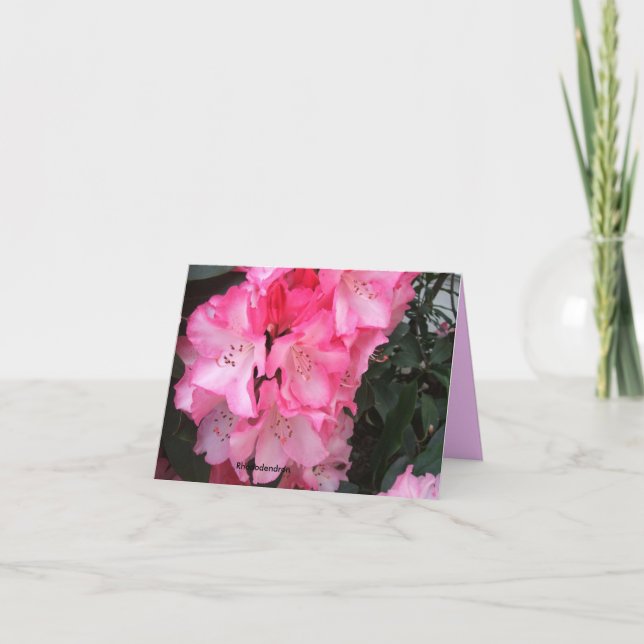 Eine Gala-Rhododendron-Explosion Karte (Vorderseite)
