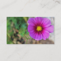 Eine Galaxie innerhalb einer Blume