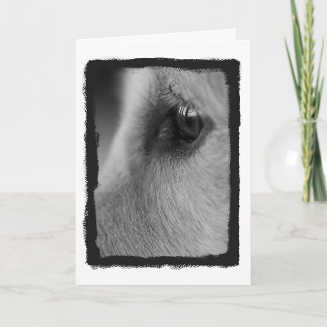 Eine Gedenkkarte Karte (Vorderseite)