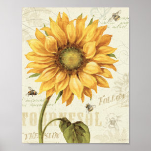 Eine gelbe Sonnenblume Poster