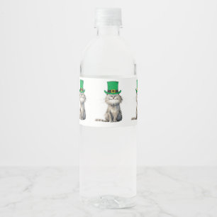 Eine glückliche irische Katze