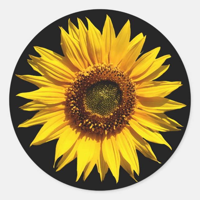 Eine große gelbe Sonnenblume Runder Aufkleber (Vorderseite)