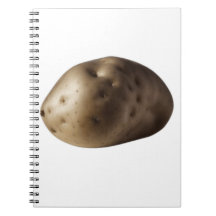 Eine große Kartoffel