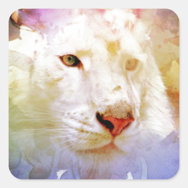 Eine große Katze auf einem Blumenfeld Quadratischer Aufkleber (Vorderseite)