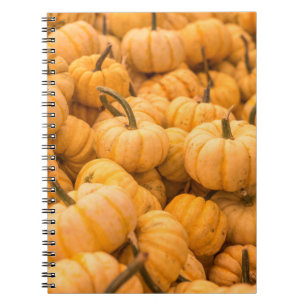 Eine große Menge an Pumpkins Notizblock