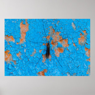 Eine große Moskito sitzt auf einer blauen, alten,  Poster