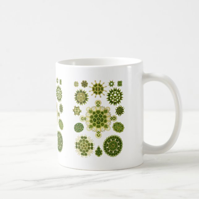 Eine Grünalge Kaffeetasse (Rechts)