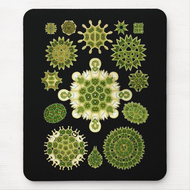 Eine Grünalge Mousepad (Vorne)