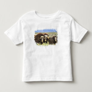 Eine Gruppe Moschusochsen äst Weidensträucher auf Kleinkind T-shirt