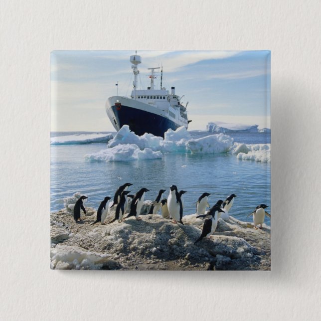 Eine Gruppe Penguins stehend auf einem eisigen Button (Vorderseite)