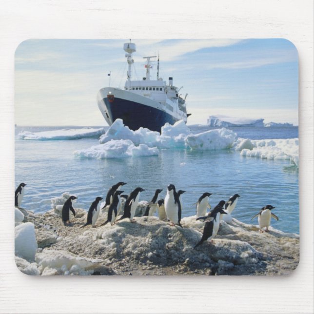 Eine Gruppe Penguins stehend auf einem eisigen Mousepad (Vorne)