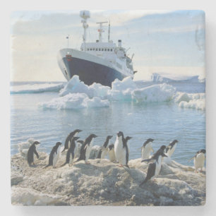 Eine Gruppe Penguins stehend auf einem eisigen Steinuntersetzer