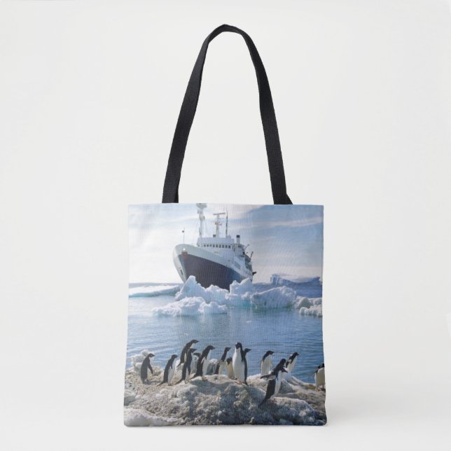 Eine Gruppe Penguins stehend auf einem eisigen Tasche (Vorderseite)