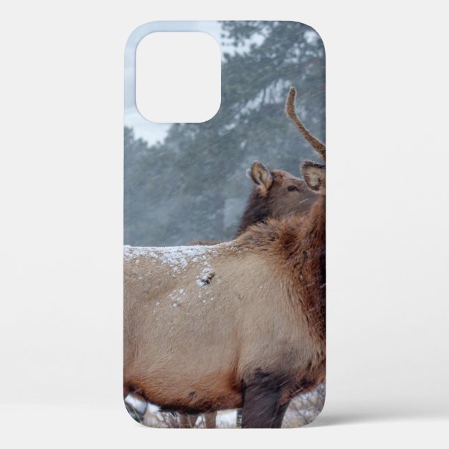 EINE GRUPPE VON HÄNDLERN Case-Mate iPhone HÜLLE (Rückseite)