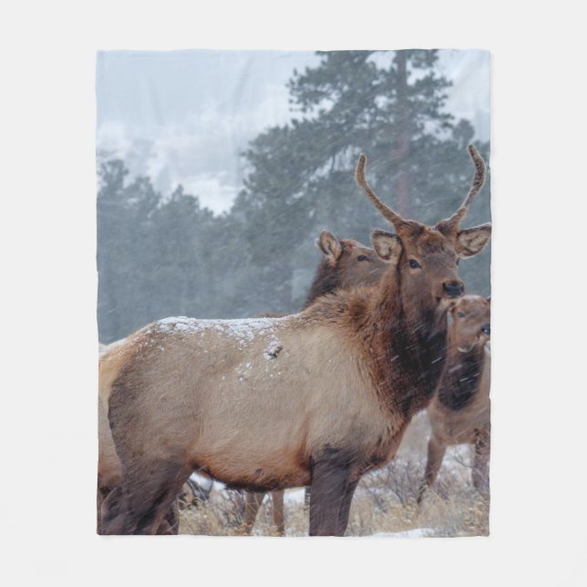 EINE GRUPPE VON HÄNDLERN FLEECEDECKE (Vorderseite)