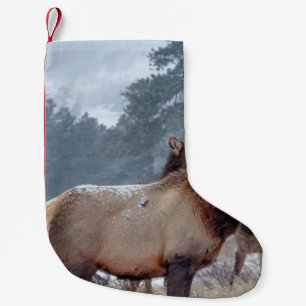 EINE GRUPPE VON HÄNDLERN KLEINER WEIHNACHTSSTRUMPF