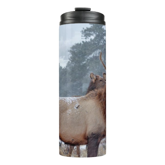 EINE GRUPPE VON HÄNDLERN THERMOSBECHER (Vorderseite)
