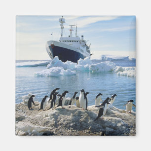 Eine Gruppe von Pinguinen, die an einem Icy Beach  Magnet