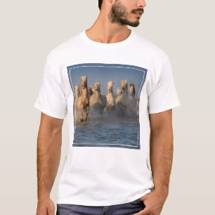 Eine Gruppe weiße Pferde in der Camargue Region T-Shirt