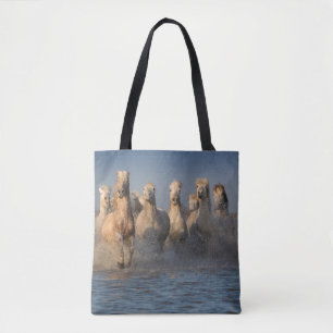 Eine Gruppe weiße Pferde in der Camargue Region Tasche