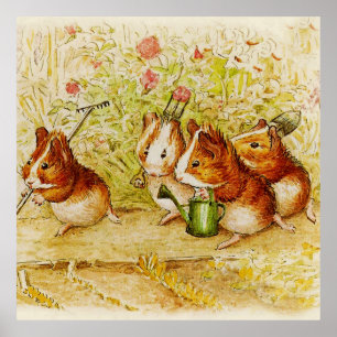 Eine Guinea Schweinegarten von Beatrix Potter Poster