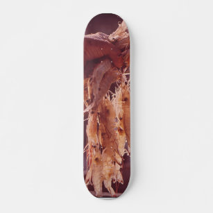 Eine Handvoll Shrimp Skateboard