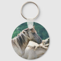 Eine Herde von Brumby Pferden aus Australien
