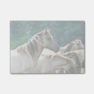 Eine Herde von Brumby Pferden von Australien Post-it Klebezettel