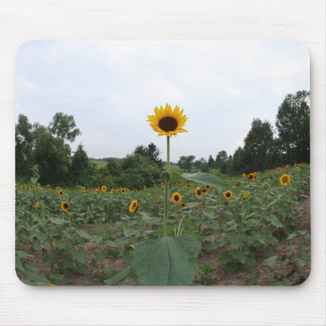 eine hohe Sonnenblume Mousepad (Vorne)