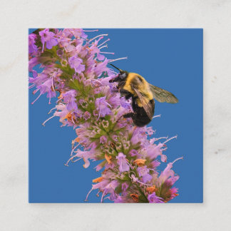 Eine Hummel und Anisysop Begleitkarte