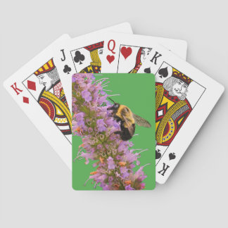 Eine Hummel und Anisysop Spielkarten