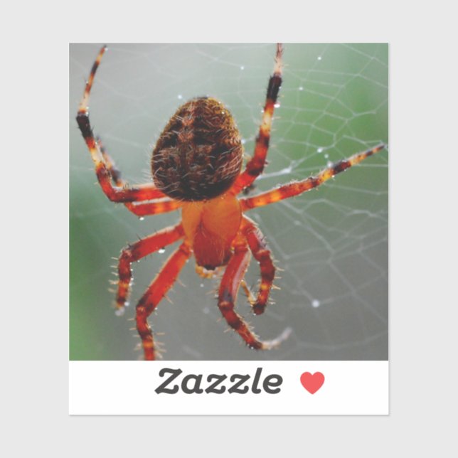 Eine hungrige Spinne wartet Aufkleber (Blatt)