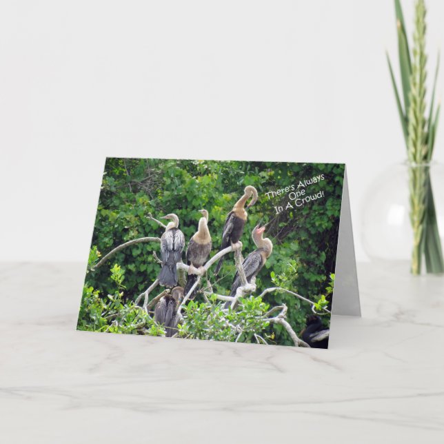 Eine in einer Menschenmenge - Anhinga Family Grußk Karte (Vorderseite)