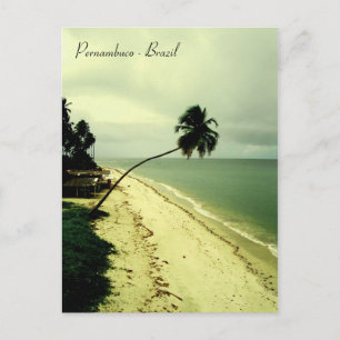 Eine Insel. Pernambuco, Brasilien Postkarte